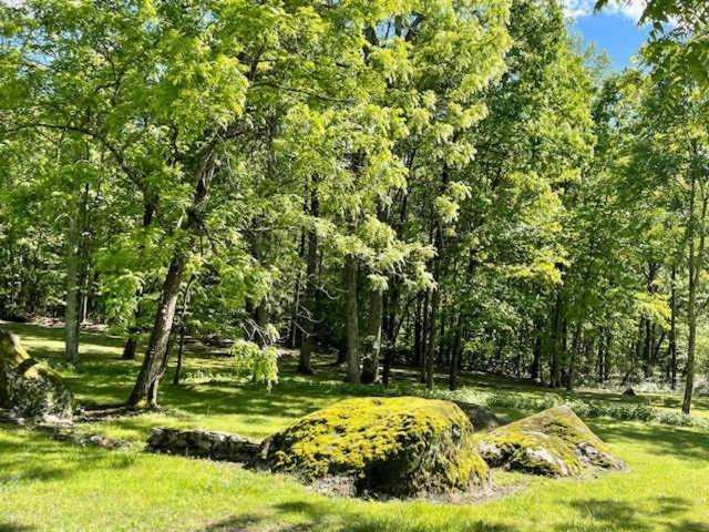 Cragsmere Manor Views 24 Guests Mentone Exterior foto